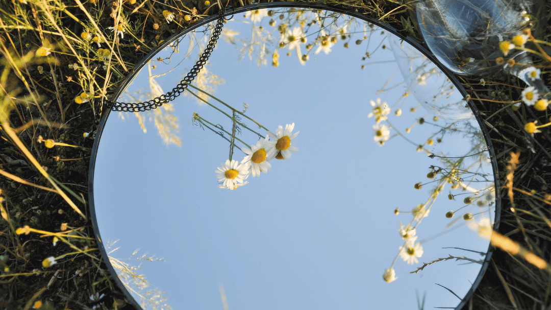 The Mirror